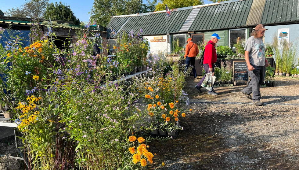 Plant Nursery Visit